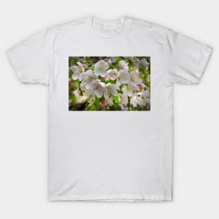 Crabapple Blossoms T-Shirt